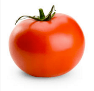 Screen Shot 2016-04-06 at 12.13.21 PM