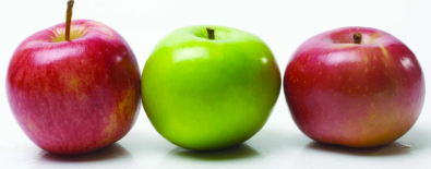 Screen Shot 2016-07-15 at 7.12.10 PM