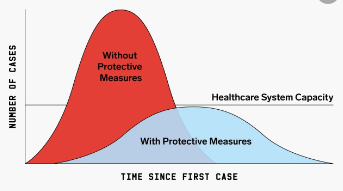 Screen Shot 2020-03-17 at 2.16.41 PM